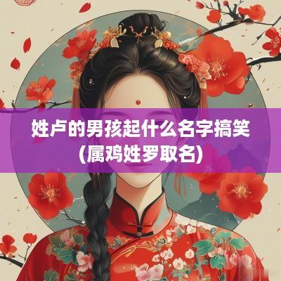 姓卢的男孩起什么名字搞笑(属鸡姓罗取名)