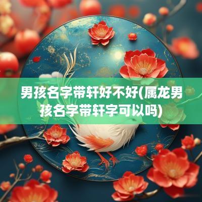 男孩名字带轩好不好(属龙男孩名字带轩字可以吗)