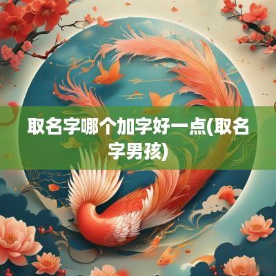 取名字哪个加字好一点(取名字男孩)