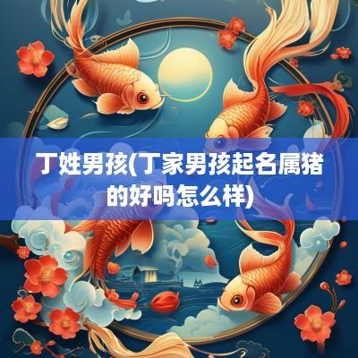丁姓男孩(丁家男孩起名属猪的好吗怎么样)