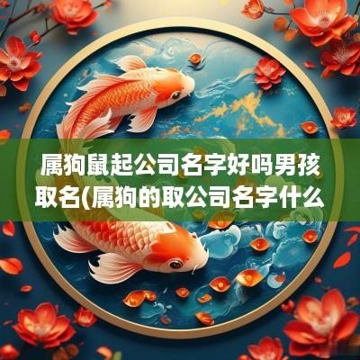 属狗鼠起公司名字好吗男孩取名(属狗的取公司名字什么最好)