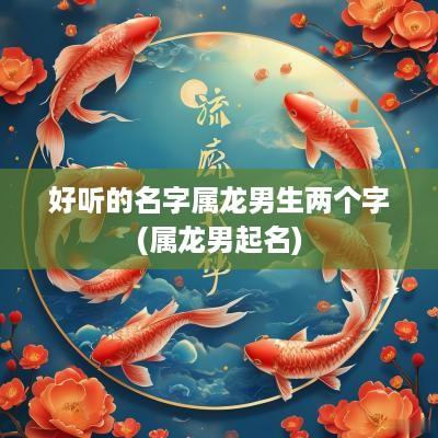 好听的名字属龙男生两个字(属龙男起名)