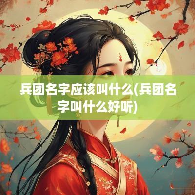 兵团名字应该叫什么(兵团名字叫什么好听)