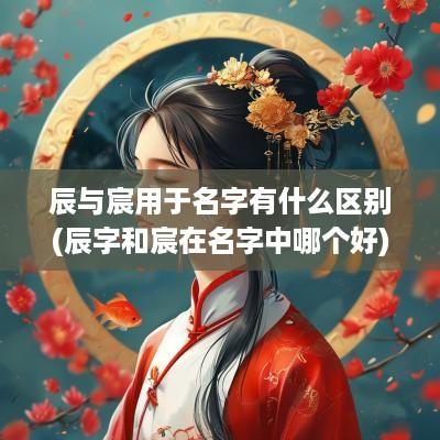 辰与宸用于名字有什么区别(辰字和宸在名字中哪个好)