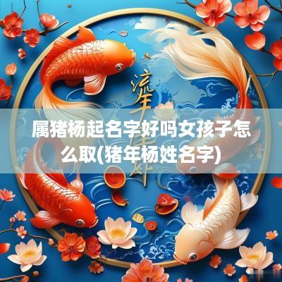 属猪杨起名字好吗女孩子怎么取(猪年杨姓名字)