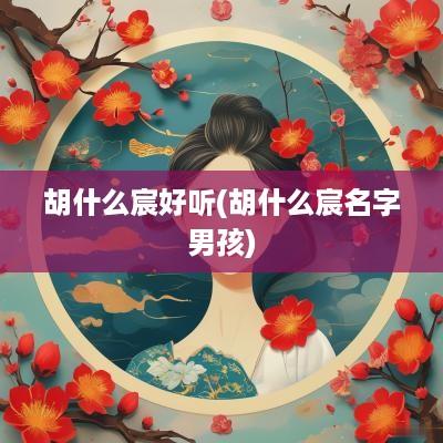 胡什么宸好听(胡什么宸名字男孩)