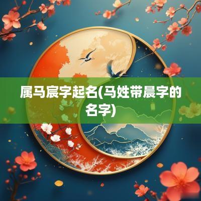 属马宸字起名(马姓带晨字的名字)