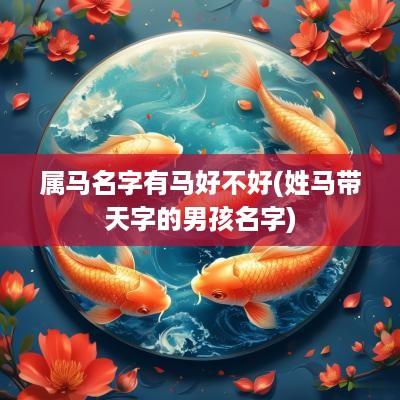 属马名字有马好不好(姓马带天字的男孩名字)