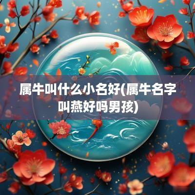 属牛叫什么小名好(属牛名字叫燕好吗男孩)