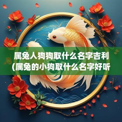 属兔人狗狗取什么名字吉利(属兔的小狗取什么名字好听点)