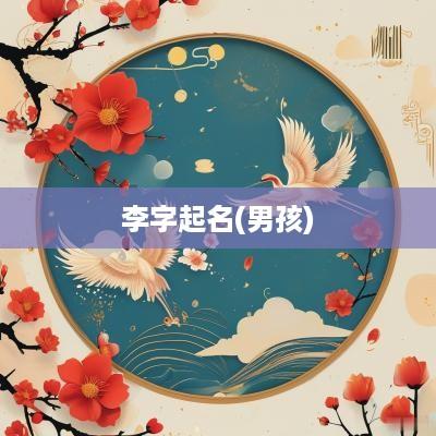 李字起名(男孩)