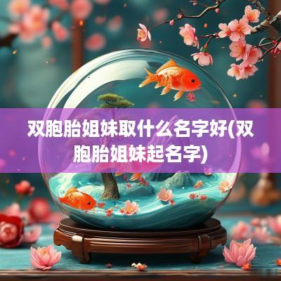 双胞胎姐妹取什么名字好(双胞胎姐妹起名字)