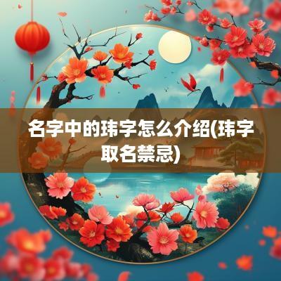 名字中的玮字怎么介绍(玮字取名禁忌)