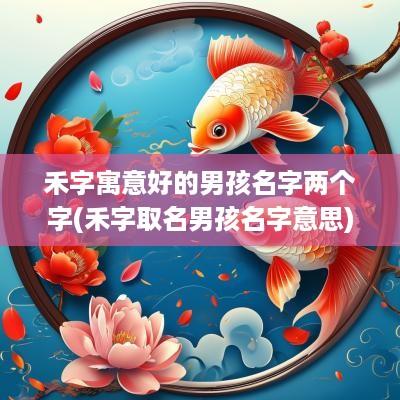 禾字寓意好的男孩名字两个字(禾字取名男孩名字意思)