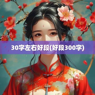30字左右好段(好段300字)