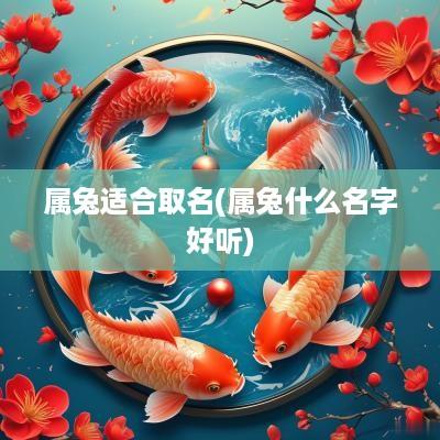 属兔适合取名(属兔什么名字好听)
