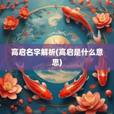 高启名字解析(高启是什么意思)