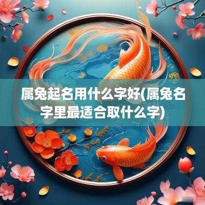 属兔起名用什么字好(属兔名字里最适合取什么字)