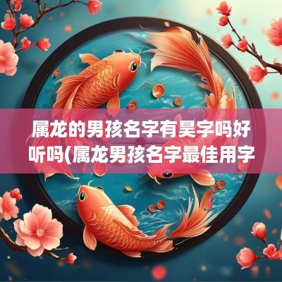 属龙的男孩名字有昊字吗好听吗(属龙男孩名字最佳用字)