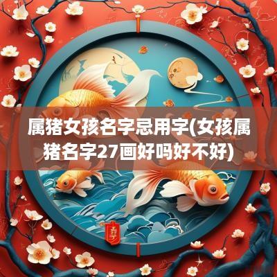 属猪女孩名字忌用字(女孩属猪名字27画好吗好不好)