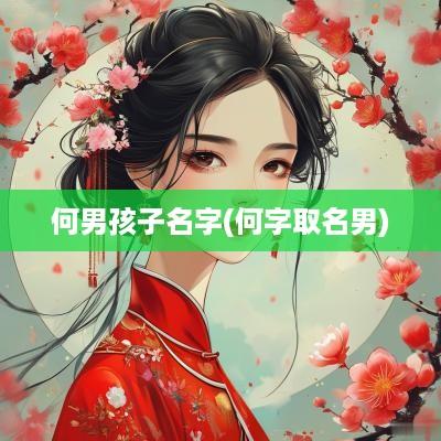 何男孩子名字(何字取名男)