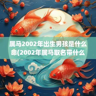 属马2002年出生男孩是什么命(2002年属马取名带什么偏旁的字好)