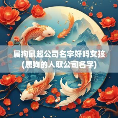 属狗鼠起公司名字好吗女孩(属狗的人取公司名字)