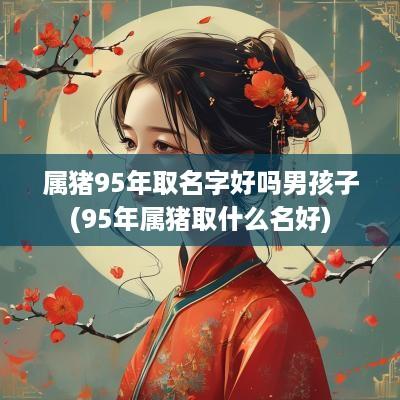 属猪95年取名字好吗男孩子(95年属猪取什么名好)