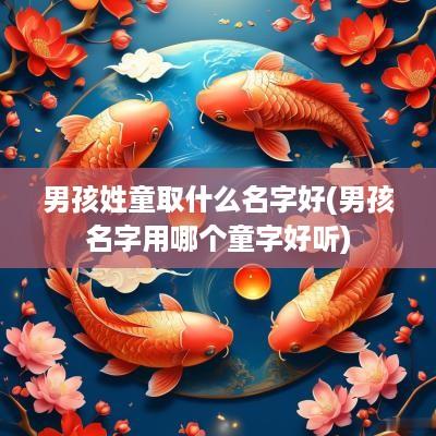男孩姓童取什么名字好(男孩名字用哪个童字好听)