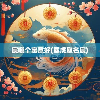 宸哪个寓意好(属虎取名宸)