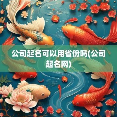 公司起名可以用省份吗(公司起名网)