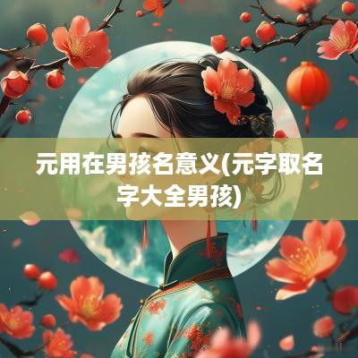 元用在男孩名意义(元字取名字大全男孩)