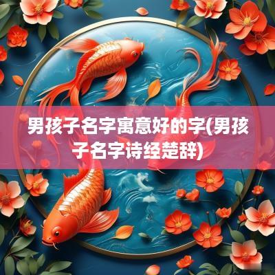 男孩子名字寓意好的字(男孩子名字诗经楚辞)