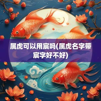 属虎可以用宸吗(属虎名字带宸字好不好)