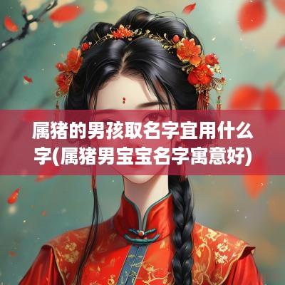 属猪的男孩取名字宜用什么字(属猪男宝宝名字寓意好)