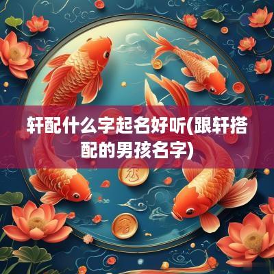 轩配什么字起名好听(跟轩搭配的男孩名字)