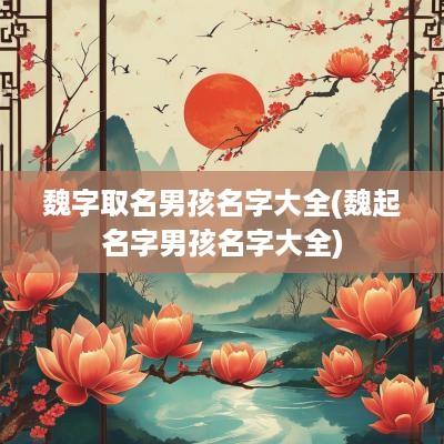 魏字取名男孩名字大全(魏起名字男孩名字大全)