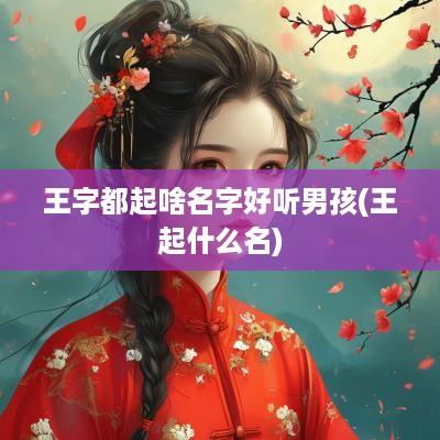 王字都起啥名字好听男孩(王起什么名)