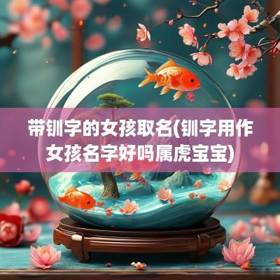 带钏字的女孩取名(钏字用作女孩名字好吗属虎宝宝)