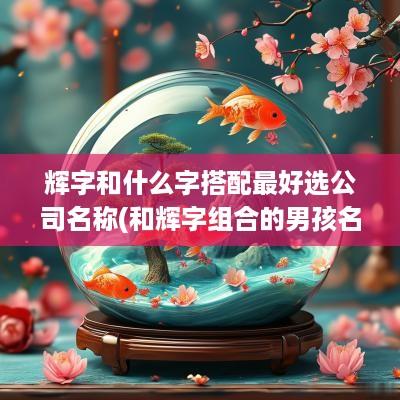辉字和什么字搭配最好选公司名称(和辉字组合的男孩名字)