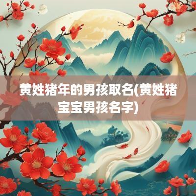 黄姓猪年的男孩取名(黄姓猪宝宝男孩名字)