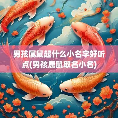 男孩属鼠起什么小名字好听点(男孩属鼠取名小名)