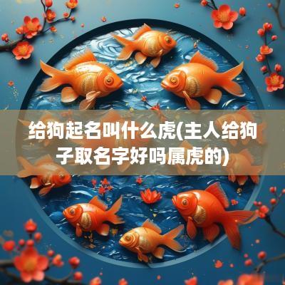 给狗起名叫什么虎(主人给狗子取名字好吗属虎的)