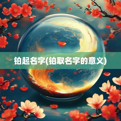 铂起名字(铂取名字的意义)