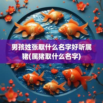 男孩姓张取什么名字好听属猪(属猪取什么名字)