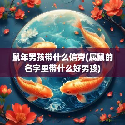 蛇年男孩带什么偏旁(属鼠的名字里带什么好男孩)