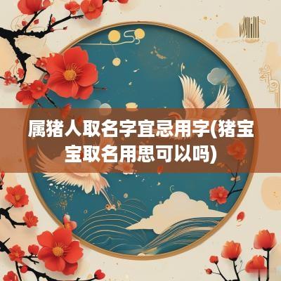 属猪人取名字宜忌用字(猪宝宝取名用思可以吗)