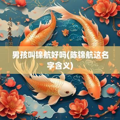 男孩叫锦航好吗(陈锦航这名字含义)