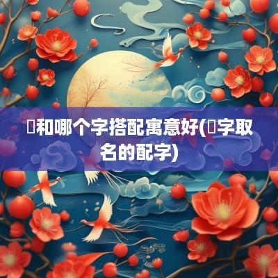 赟和哪个字搭配寓意好(赟字取名的配字)