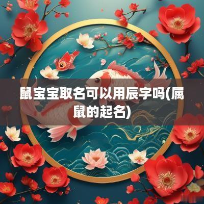 鼠宝宝取名可以用辰字吗(属鼠的起名)